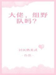大佬，组野队吗？
