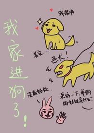 我家进狗了！亲兄妹